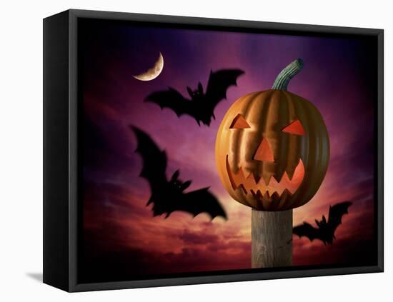 Scary Pumpkin and Bats-Matthias Kulka-Framed Premier Image Canvas