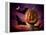 Scary Pumpkin and Bats-Matthias Kulka-Framed Premier Image Canvas