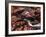 Scattered Leaves, Duck Brook-Michael Hudson-Framed Art Print