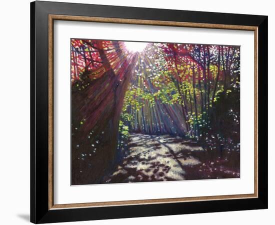 Scattered Light, 2013-Helen White-Framed Giclee Print