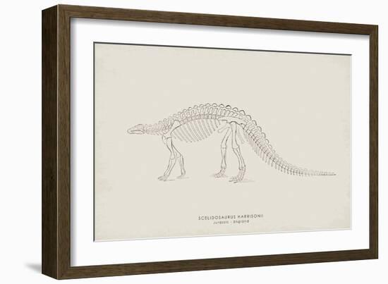 Scelidosaurus-The Vintage Collection-Framed Giclee Print