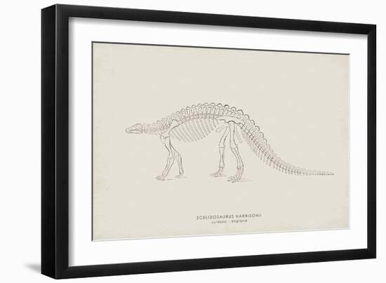 Scelidosaurus-The Vintage Collection-Framed Giclee Print