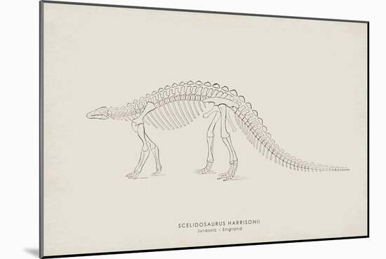 Scelidosaurus-The Vintage Collection-Mounted Giclee Print