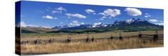 Stretched Canvas Print