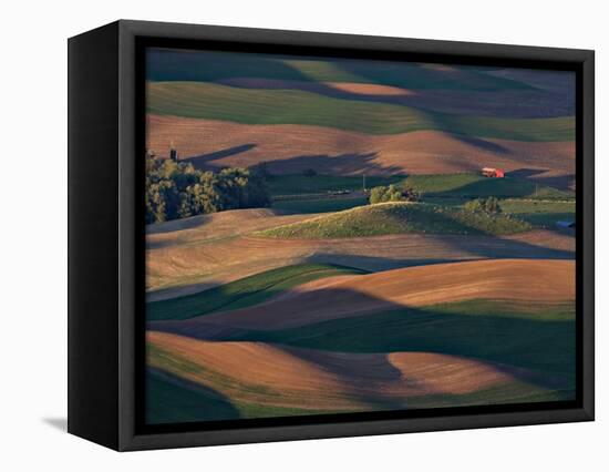 Scene at Dawn from Steptoe Butte, Palouse, Washington, USA-Charles Sleicher-Framed Premier Image Canvas