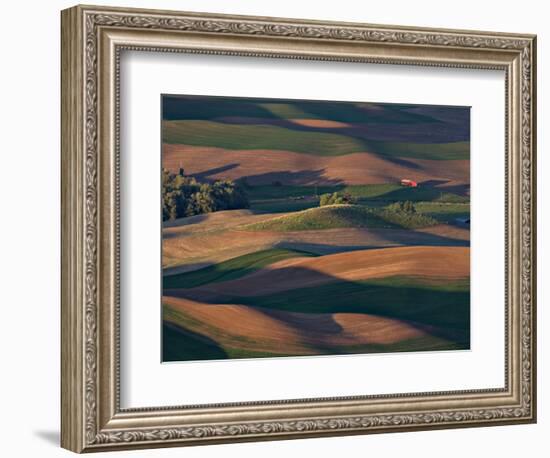 Scene at Dawn from Steptoe Butte, Palouse, Washington, USA-Charles Sleicher-Framed Photographic Print