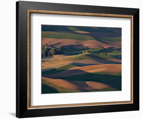 Scene at Dawn from Steptoe Butte, Palouse, Washington, USA-Charles Sleicher-Framed Photographic Print