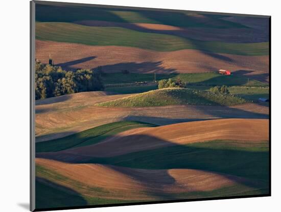 Scene at Dawn from Steptoe Butte, Palouse, Washington, USA-Charles Sleicher-Mounted Photographic Print