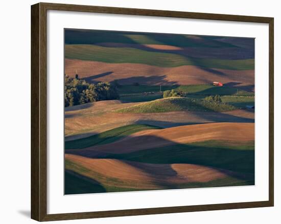 Scene at Dawn from Steptoe Butte, Palouse, Washington, USA-Charles Sleicher-Framed Photographic Print