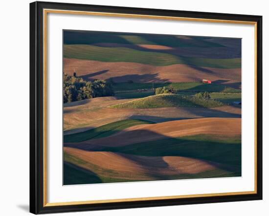 Scene at Dawn from Steptoe Butte, Palouse, Washington, USA-Charles Sleicher-Framed Photographic Print