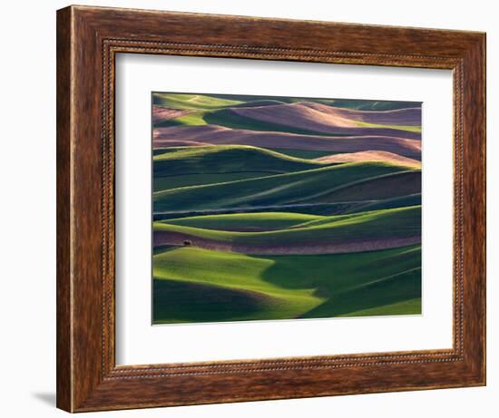 Scene at Dawn from Steptoe Butte, Palouse, Washington, USA-Charles Sleicher-Framed Photographic Print