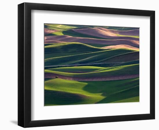 Scene at Dawn from Steptoe Butte, Palouse, Washington, USA-Charles Sleicher-Framed Photographic Print