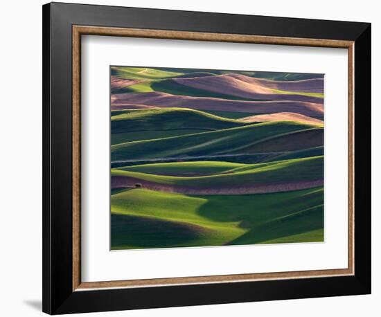 Scene at Dawn from Steptoe Butte, Palouse, Washington, USA-Charles Sleicher-Framed Photographic Print