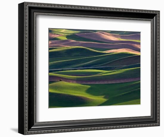 Scene at Dawn from Steptoe Butte, Palouse, Washington, USA-Charles Sleicher-Framed Photographic Print