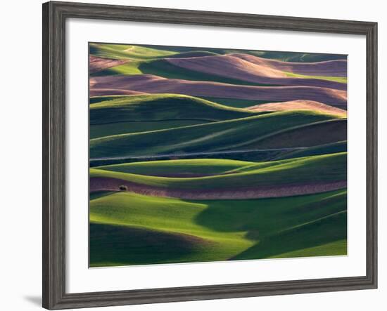 Scene at Dawn from Steptoe Butte, Palouse, Washington, USA-Charles Sleicher-Framed Photographic Print