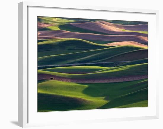 Scene at Dawn from Steptoe Butte, Palouse, Washington, USA-Charles Sleicher-Framed Photographic Print