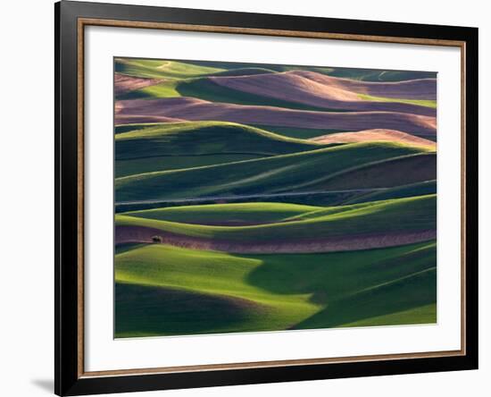 Scene at Dawn from Steptoe Butte, Palouse, Washington, USA-Charles Sleicher-Framed Photographic Print