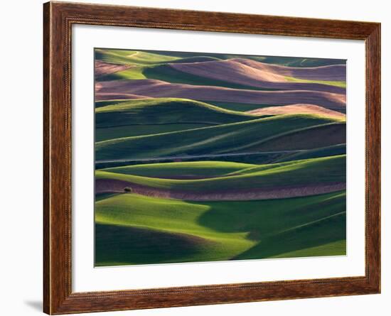 Scene at Dawn from Steptoe Butte, Palouse, Washington, USA-Charles Sleicher-Framed Photographic Print