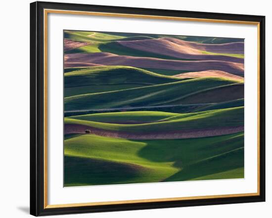 Scene at Dawn from Steptoe Butte, Palouse, Washington, USA-Charles Sleicher-Framed Photographic Print