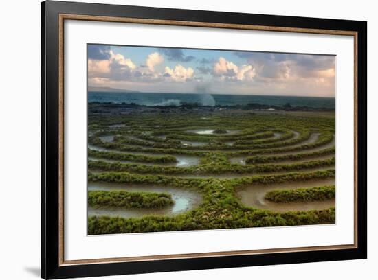 Scene at Kapalua Labyrinth Maui-Vincent James-Framed Photographic Print