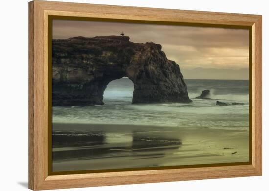 Scene at Natural Bridges, Santa Cruz-Vincent James-Framed Premier Image Canvas