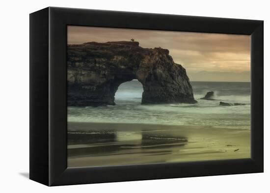 Scene at Natural Bridges, Santa Cruz-Vincent James-Framed Premier Image Canvas