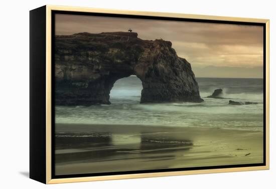 Scene at Natural Bridges, Santa Cruz-Vincent James-Framed Premier Image Canvas