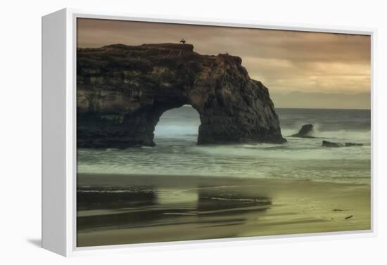 Scene at Natural Bridges, Santa Cruz-Vincent James-Framed Premier Image Canvas