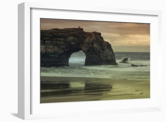 Scene at Natural Bridges, Santa Cruz-Vincent James-Framed Photographic Print