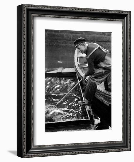 Scene from Copenhagen's Fish Market, December 1946-null-Framed Photographic Print