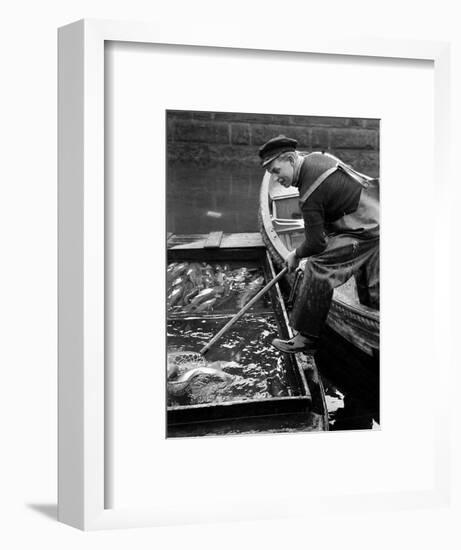 Scene from Copenhagen's Fish Market, December 1946-null-Framed Photographic Print