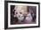 Scene from in Summer in Paris by Jules Janin, 1844-Eugène Boudin-Framed Giclee Print