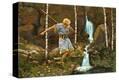 Stretched Canvas Print