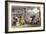 Scene from Spectacle Sun Moon-Thomas Allom-Framed Art Print