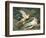 Scene from the Myth of Cupid and Psyche-null-Framed Giclee Print