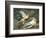 Scene from the Myth of Cupid and Psyche-null-Framed Giclee Print