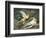 Scene from the Myth of Cupid and Psyche-null-Framed Giclee Print