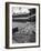 Scene from the Polo Grounds, During the Giant Vs. Dodgers Game-Yale Joel-Framed Photographic Print