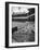 Scene from the Polo Grounds, During the Giant Vs. Dodgers Game-Yale Joel-Framed Photographic Print