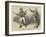 Scene from The Rivals at the Charing Cross Theatre-Charles Green-Framed Giclee Print