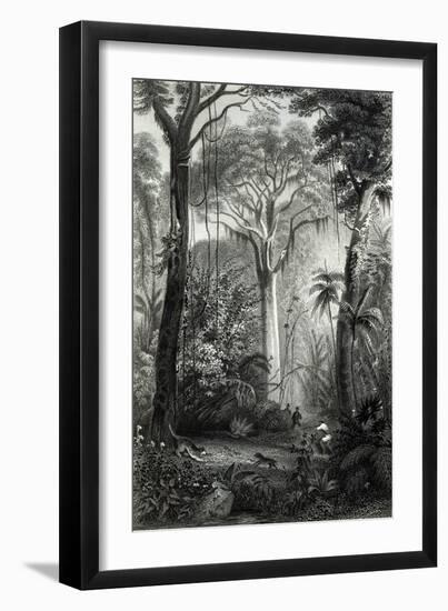 Scene in a Brazilian Forest Engraved by J.Bishop-Henry George Hine-Framed Giclee Print