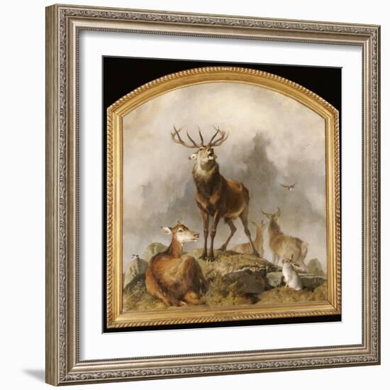 Scene in Braemar - Highland Deer-Edwin Henry Landseer-Framed Giclee Print