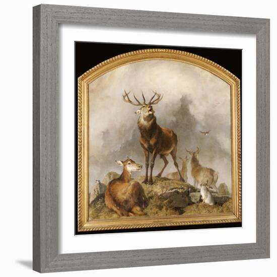 Scene in Braemar - Highland Deer-Edwin Henry Landseer-Framed Giclee Print