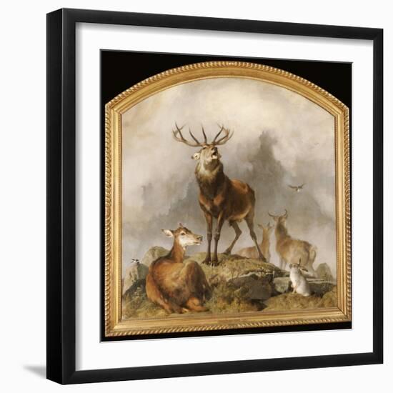 Scene in Braemar - Highland Deer-Edwin Henry Landseer-Framed Giclee Print