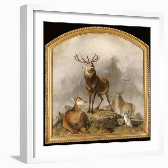 Scene in Braemar - Highland Deer-Edwin Henry Landseer-Framed Giclee Print