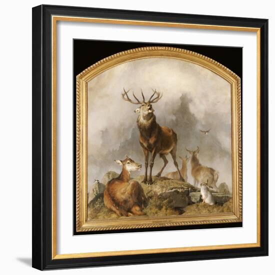 Scene in Braemar - Highland Deer-Edwin Henry Landseer-Framed Giclee Print