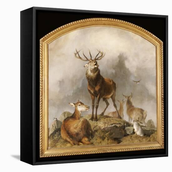 Scene in Braemar - Highland Deer-Edwin Henry Landseer-Framed Premier Image Canvas