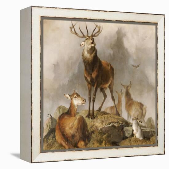 Scene in Braemar, Highland Deer-Edwin Henry Landseer-Framed Premier Image Canvas