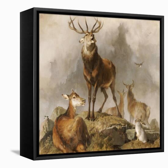 Scene in Braemar, Highland Deer-Edwin Henry Landseer-Framed Premier Image Canvas