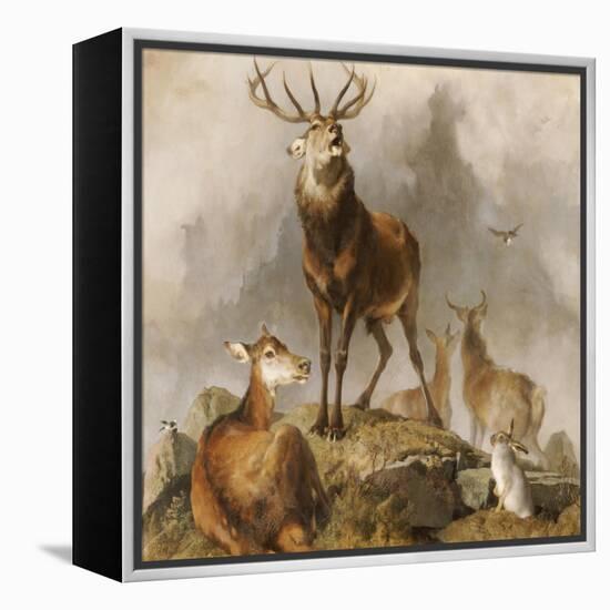 Scene in Braemar, Highland Deer-Edwin Henry Landseer-Framed Premier Image Canvas